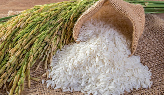 Gạo hữu cơ đặc sản Việt Nam