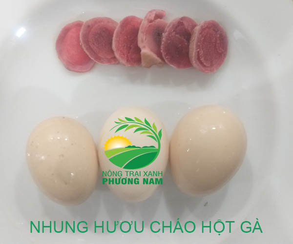 1. Nhung hươu tươi nguyên cành