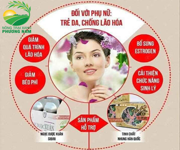 2. Nhung hươu tươi ngâm mật ong