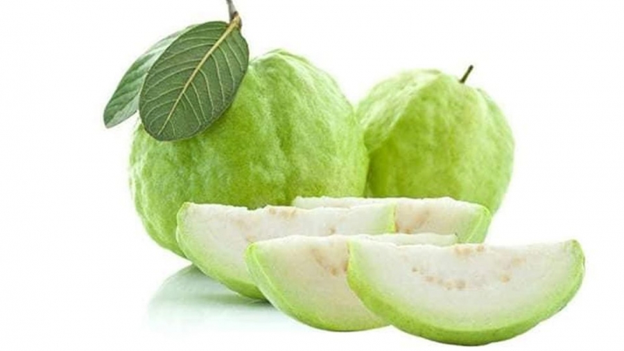 Giống ổi nữ hoàng