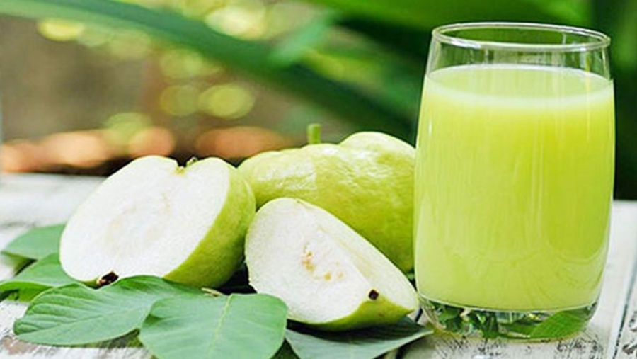 Giống ổi nữ hoàng
