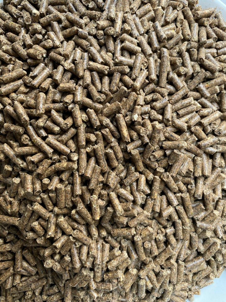 Thức ăn Thỏ, Bọ Ú