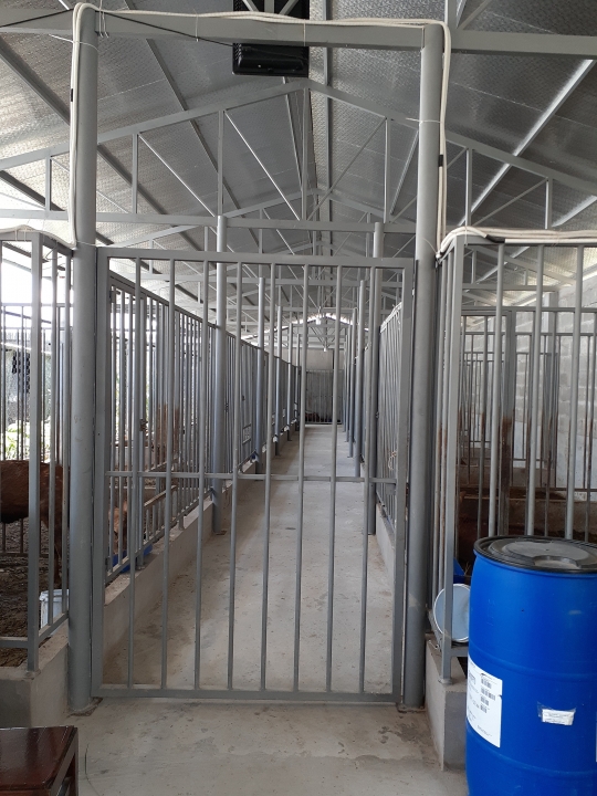Cách làm chuồng nuôi hươu